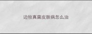边牧真菌皮肤病怎么治