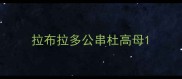 拉布拉多公串杜高母