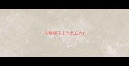 小狗喘不上气怎么办
