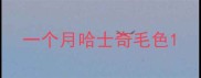 一个月哈士奇毛色