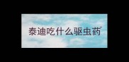 泰迪吃什么驱虫药