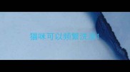猫咪可以频繁洗澡