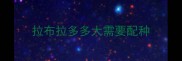 拉布拉多多大需要配种