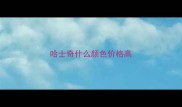 哈士奇什么颜色价格高