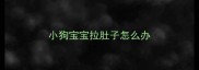 小狗宝宝拉肚子怎么办