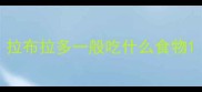 拉布拉多一般吃什么食物