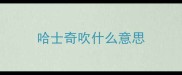 哈士奇吹什么意思