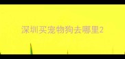 深圳买宠物狗去哪里
