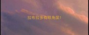 拉布拉多有眼角屎