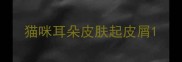 猫咪耳朵皮肤起皮屑