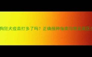 狗狗狂犬疫苗打多了吗正确接种指南与常见误区全