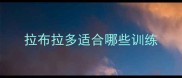 拉布拉多适合哪些训练