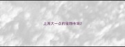 上海大一点的宠物市场