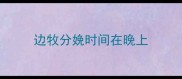 边牧分娩时间在晚上