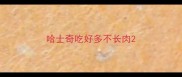 哈士奇吃好多不长肉
