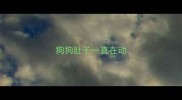 狗狗肚子一直在动
