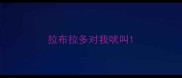 拉布拉多对我吠叫