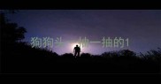 狗狗头一抽一抽的