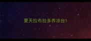 夏天拉布拉多养凉台
