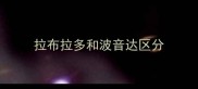 拉布拉多和波音达区分
