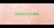 狗狗能吃马铃薯吗