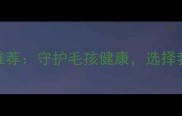 沈阳专业宠物医院推荐守护毛孩健康选择我爱我宠的五大理由