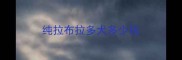 纯拉布拉多犬多少钱