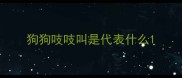狗狗吱吱叫是代表什么