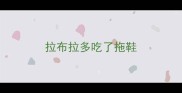 拉布拉多吃了拖鞋
