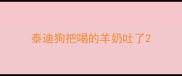 泰迪狗把喝的羊奶吐了