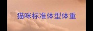 猫咪标准体型体重