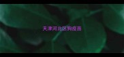 天津河北区狗疫苗