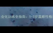 金毛幼犬社会化训练全指南1-3岁温顺性格养成关键期