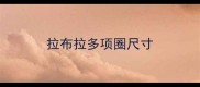 拉布拉多项圈尺寸