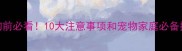 养狗前必看10大注意事项和宠物家庭必备指南