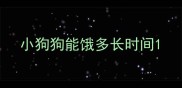 小狗狗能饿多长时间