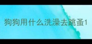 狗狗用什么洗澡去跳蚤