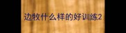 边牧什么样的好训练