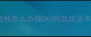 边牧怎么办理CKU的血统证书