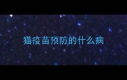 猫疫苗预防的什么病