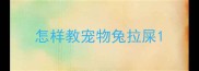 怎样教宠物兔拉屎