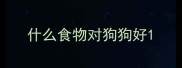 什么食物对狗狗好