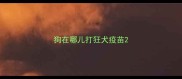 狗在哪儿打狂犬疫苗