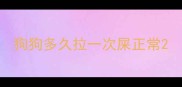 狗狗多久拉一次屎正常
