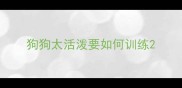 狗狗太活泼要如何训练