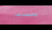 大猫什么时候能打疫苗