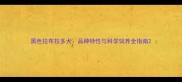 黑色拉布拉多犬品种特性与科学饲养全指南
