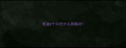 泰迪4个月吃什么狗粮好
