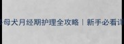拉布拉多母犬月经期护理全攻略新手必看详细指南