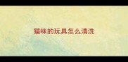猫咪的玩具怎么清洗